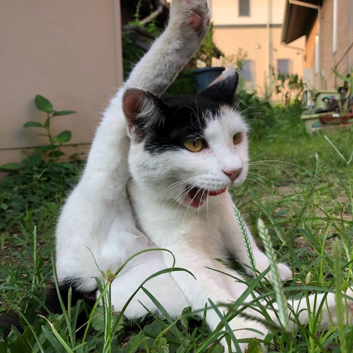 555c792c b1a6 4e9b a2f8 3ebd9ecc96ee 1598307215975