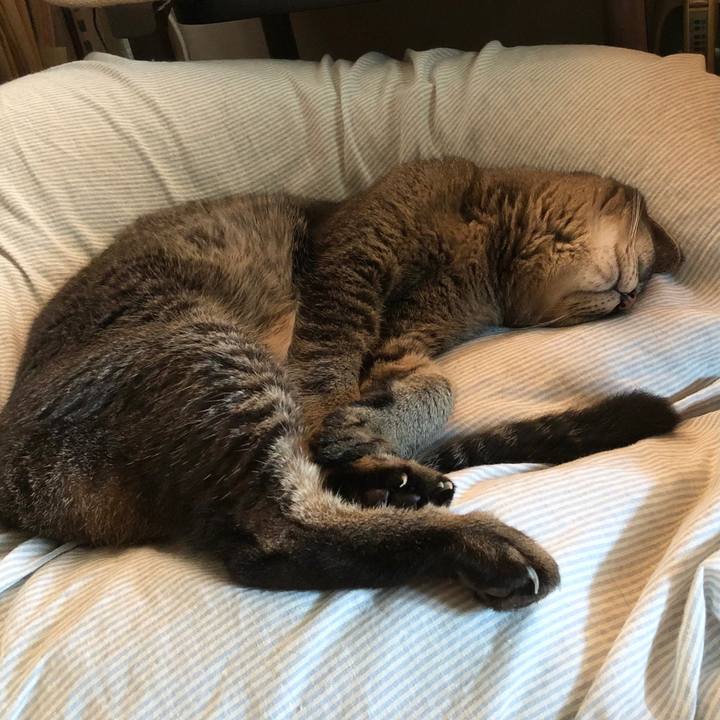 555c8cd1 c455 4b83 871c 4d3292cfaebc 1692511142685