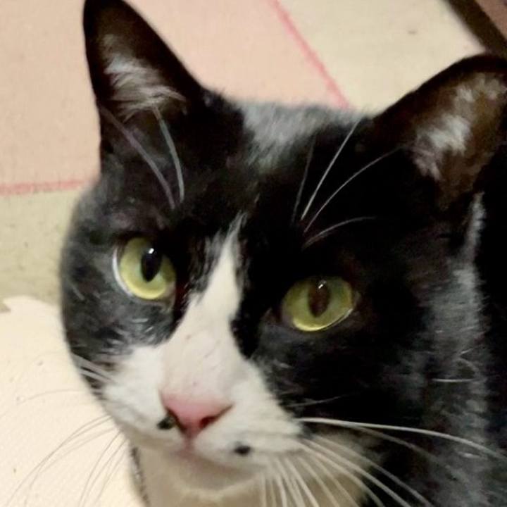 555cc0f0 83a9 46c9 bb51 0d58102e2ceb 1736855309998