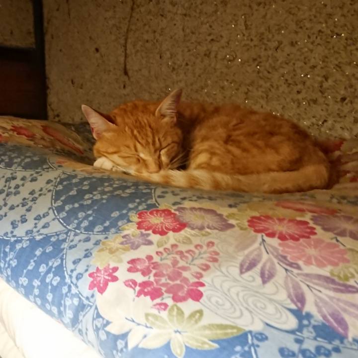 555ce645 fac5 4d6c a7e8 1ccda4e8f862 1593952516692