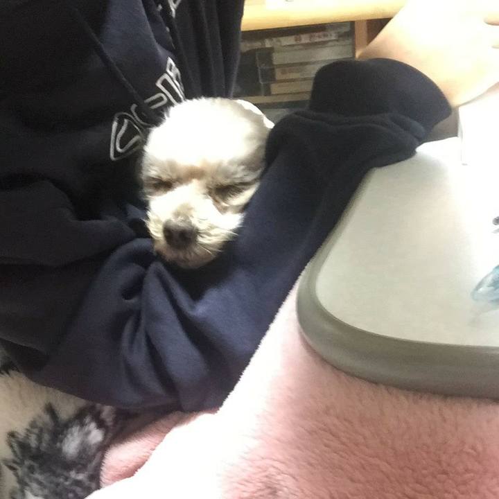 555cf395 78d7 4b2f a6ca ad19ab42f37a 1574945710747