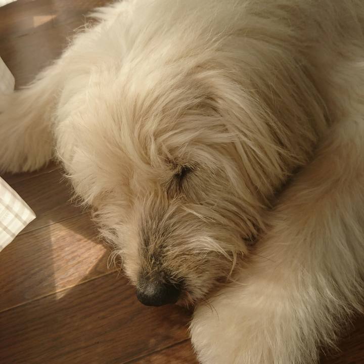 555cf50c 3e06 4d3c 8ab8 1d758a730d16 1613882537348