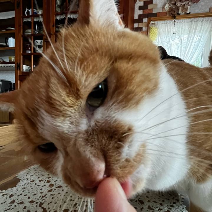 555cfdaf 6a76 440c a3af 1b73b810597a 1716760795791