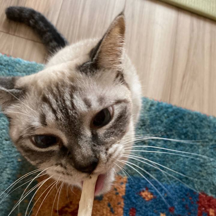 555d16f3 4172 4042 b062 6bfcaa87f2e1 1634436061592