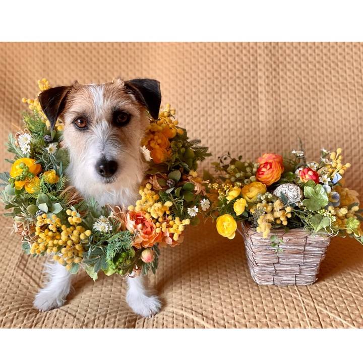 555d1c0b 8db6 4426 96ff f32540c2cc67 1678246358421