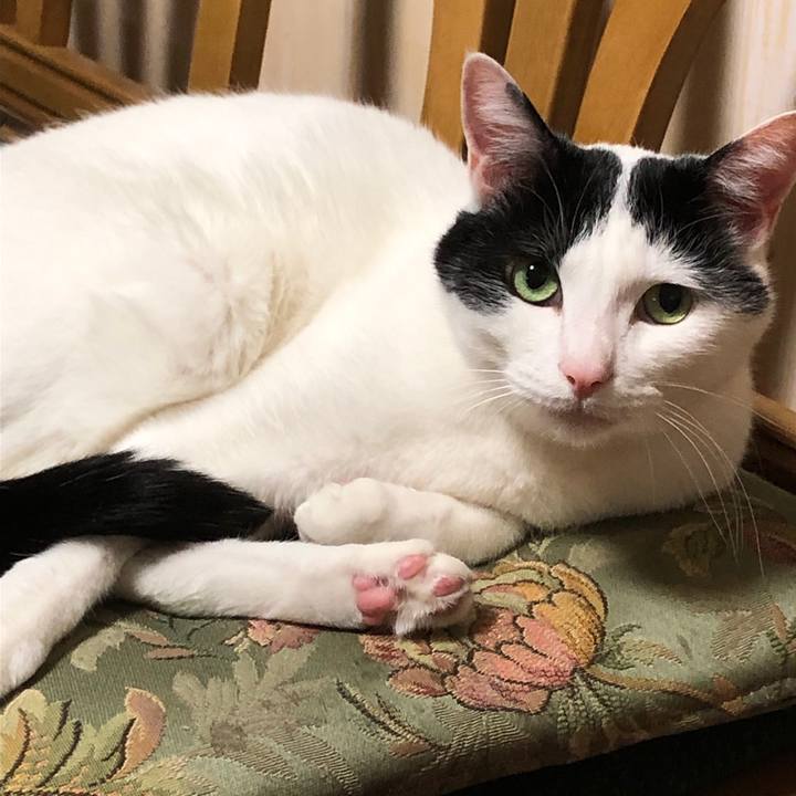 555d2339 1c1b 40bc 98df f2437bc0ab79 1559137267274