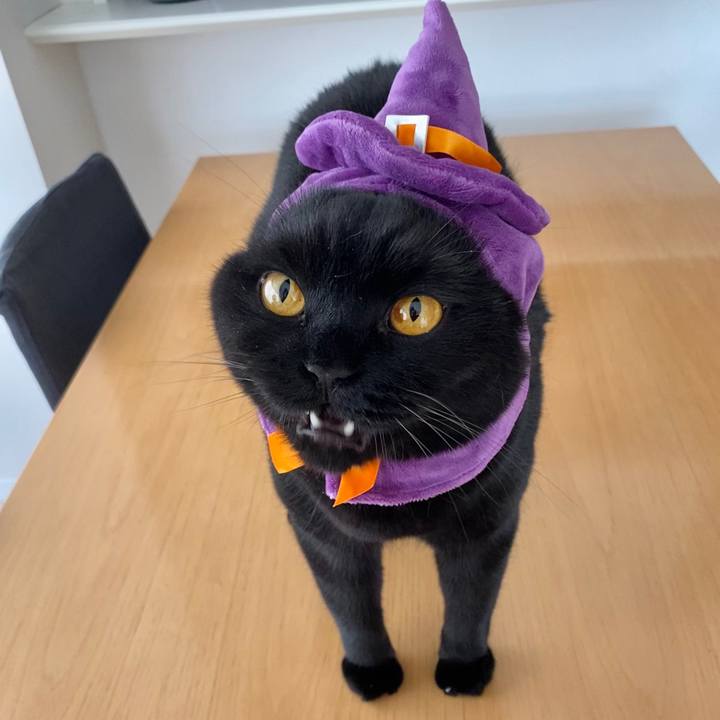 555d326b 1d74 4b37 92f6 40c59aedc8be 1604098818887