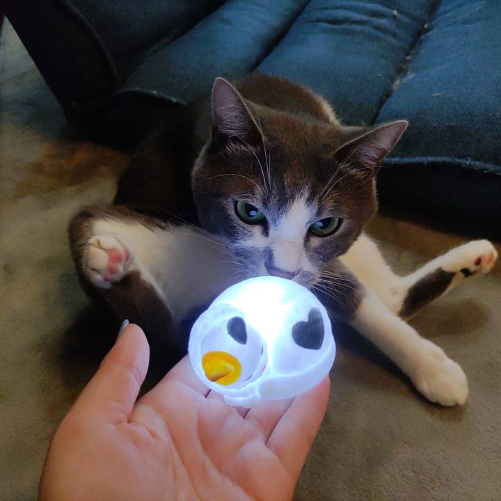 555d42ed c7cf 4eac a70b f454acc70ab0 1659392503034