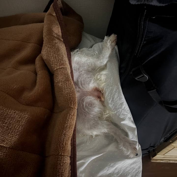 555d43e4 d23e 4aca 8f0c dbf7b7539014 1775667480947