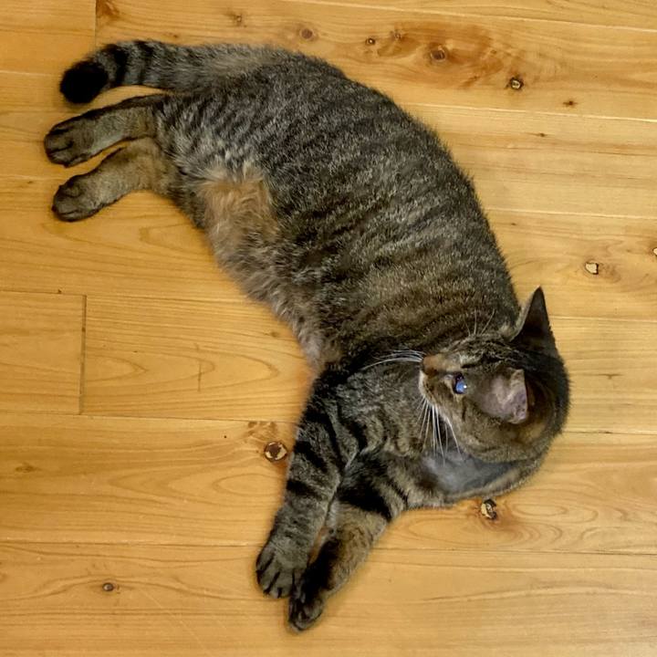 555d4c4e 37e3 4565 9ad5 a6eac2e106d9 1634301227339