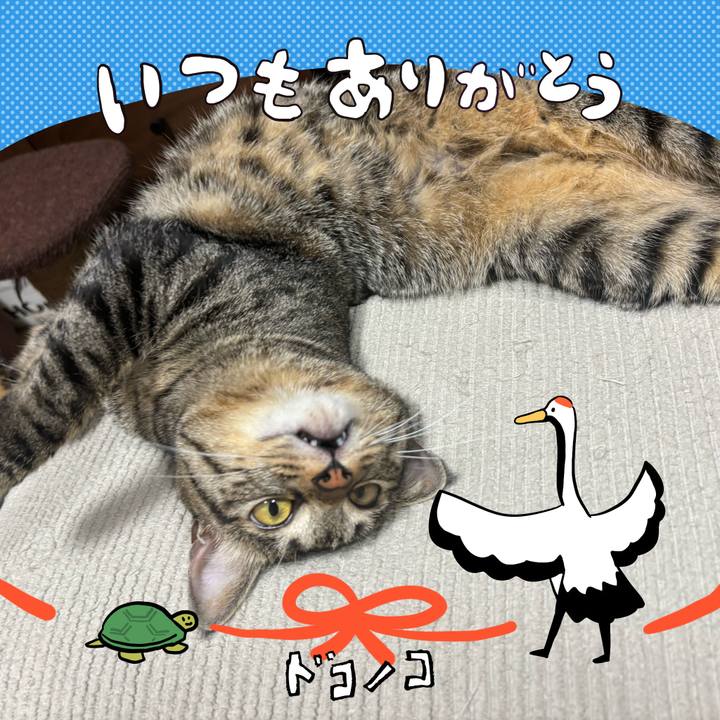 555d4ff4 d3c1 4fcc ae64 7ef78b847a7c 1727149307341