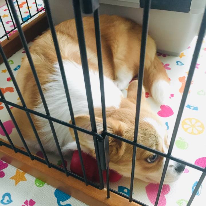 555d5653 80af 4827 9500 13eeadec4831 1561960525553