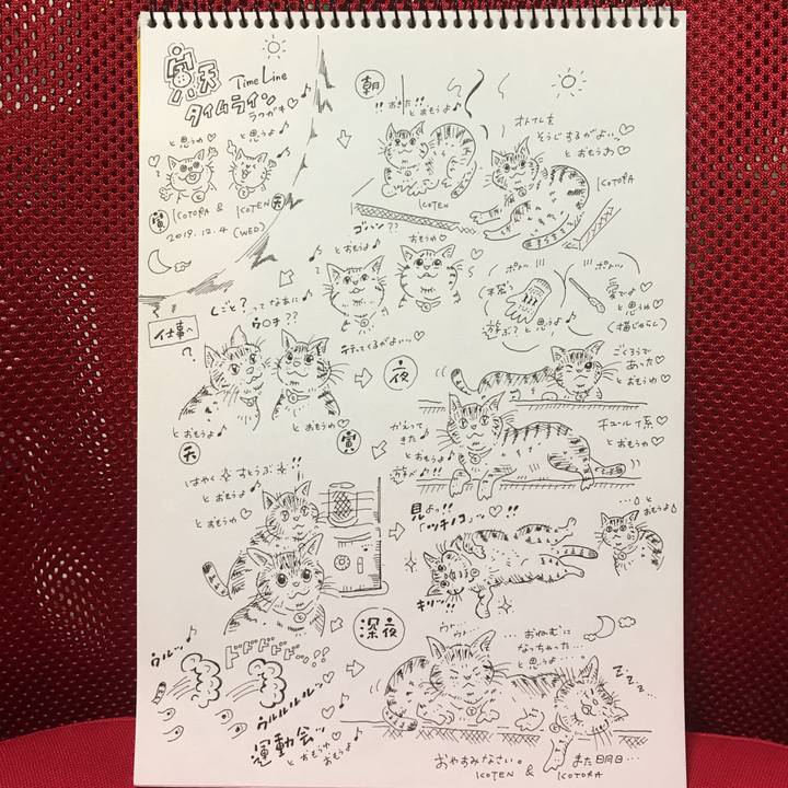 555d8d50 1fef 417b 9135 97d9d81ef6ef 1575481853833