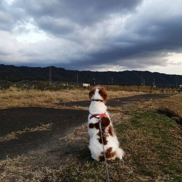 555dbaa5 008b 4134 826b 43b25d8db3f0 1575534050152