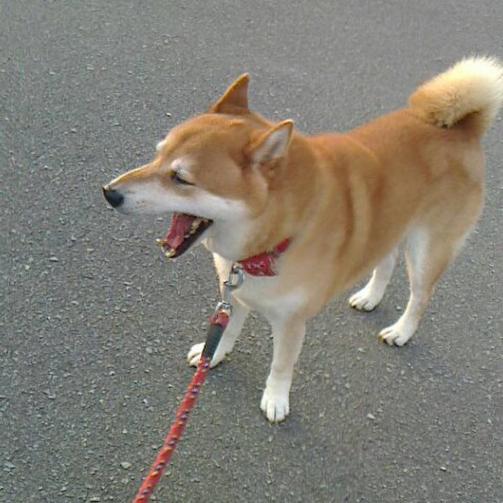 555dbafd 4b94 4d28 b473 e9ac707c2d59 1508930558461