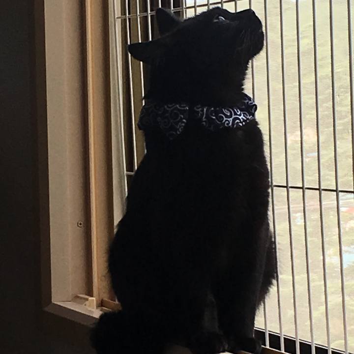 555dc41b f37d 4094 8320 ce3d647e2176 1535855273312