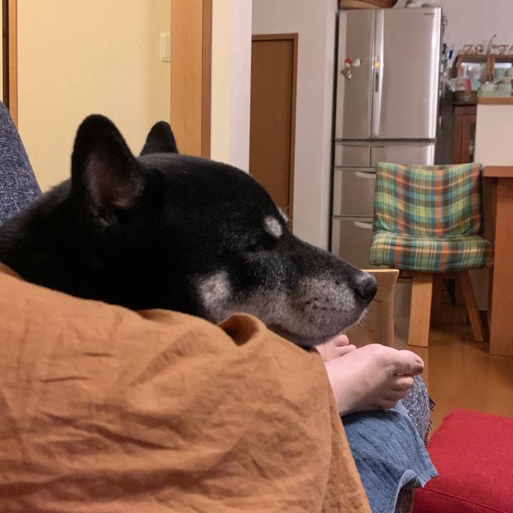 555dc425 c6ad 4170 a82b 887f82cea93c 1633270362900