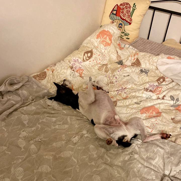 555dcb3d 0f21 4ca1 a1f4 62013264ebc3 1589720005877