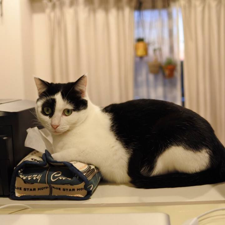 555df217 02a5 417f 8c1b 94ae69694ea9 1517932243463