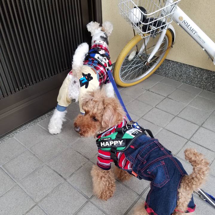 555df793 c6ff 4e61 87ef 6199a6abe5f4 1552950026724