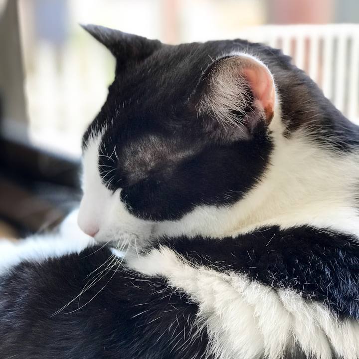 555e443e 6504 4d6d ac75 8149c66f66ea 1528421361793