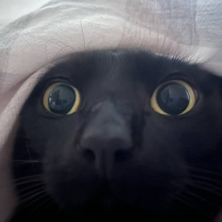 555e4dbd 7332 4390 9efd d291e3f2677b 1774829569592