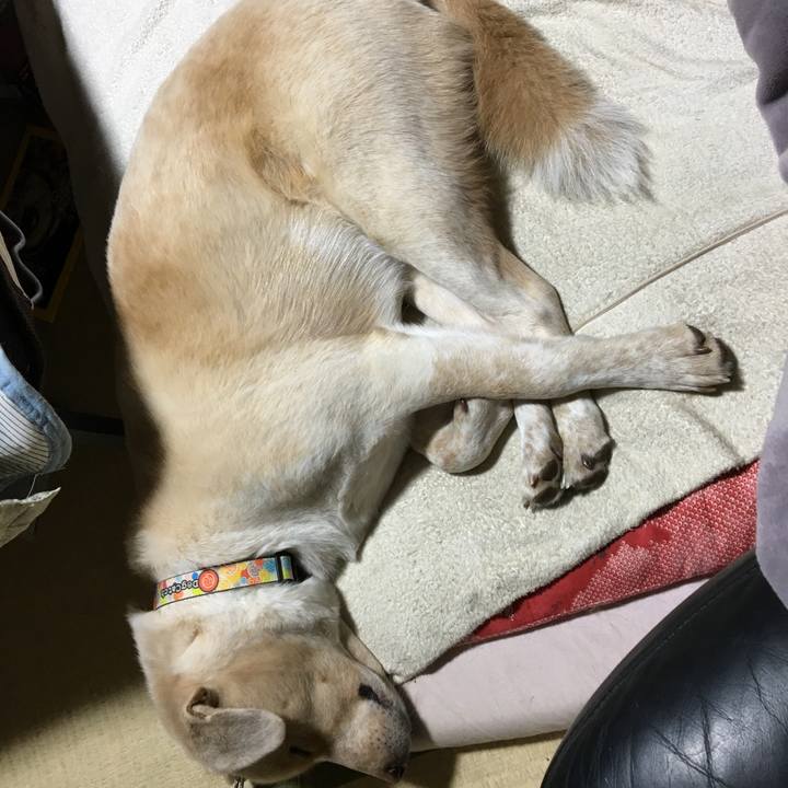 555e7146 c3d7 4d98 9190 1d5f2684b627 1516285940896