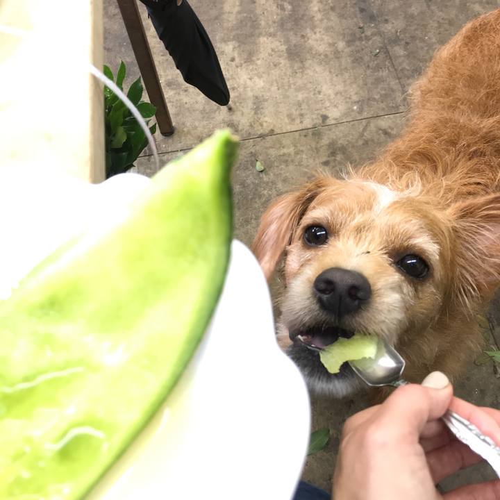 555eb577 829e 41d6 8ce6 cbc1cc33fa71 1595767554506