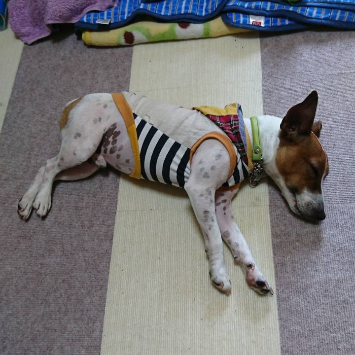 555ecf7d 6711 429f 9432 a0f2f1a4713c 1558831839668