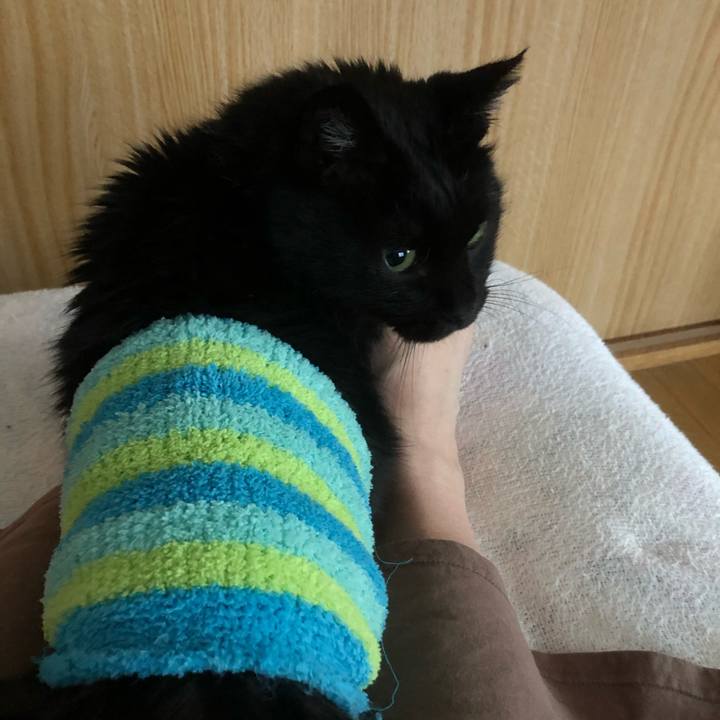 555ef1f9 7784 4975 b6ea 3d2f85e182cf 1607725212406