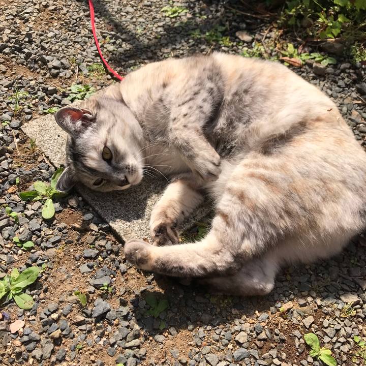 555f2869 b1bf 4a2e bd20 0aa7d0744817 1557448076495