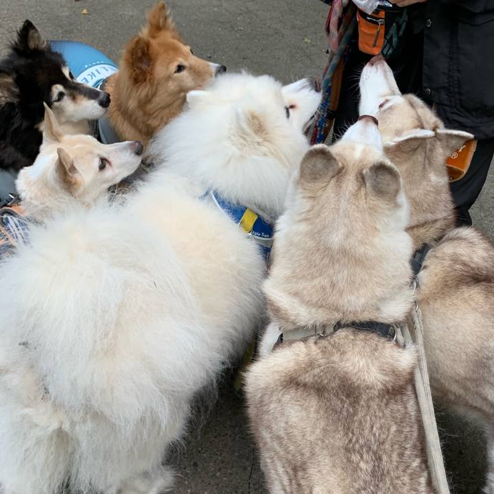 555f35a2 645e 4384 8586 975e8f6d0078 1696673969710