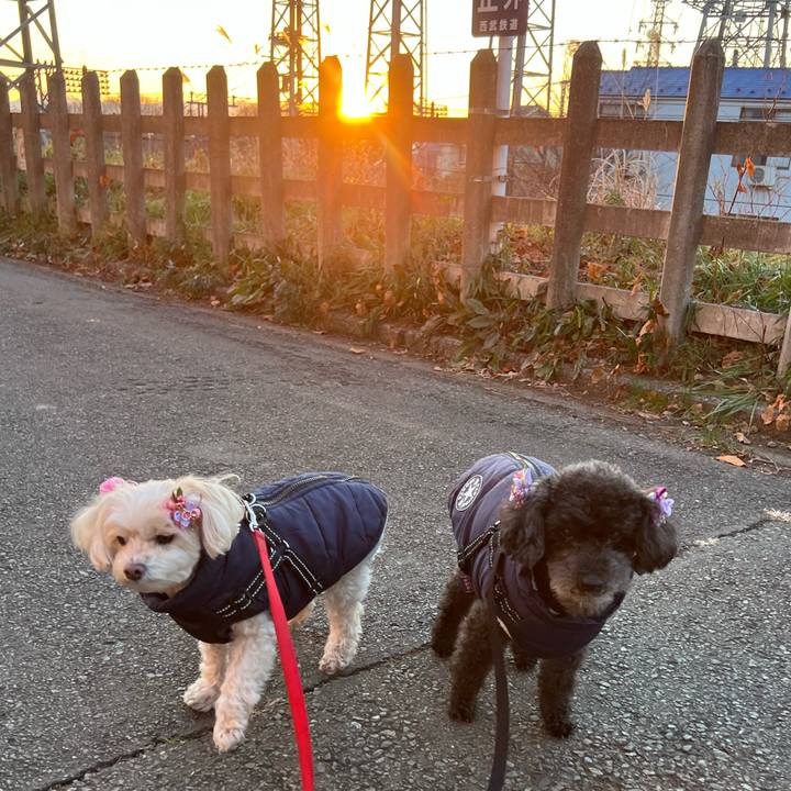 555f4711 dcd2 4496 8be4 2e33bcc39d05 1767514029131