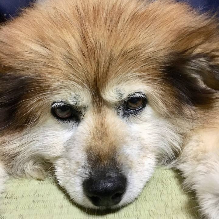 555fb844 9e5a 4507 940e c6227f7259c8 1549887778277