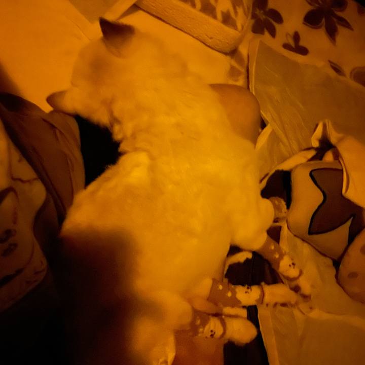 555fba1e 6d1a 4c2b 806e f24eb2f7db80 1685719667270