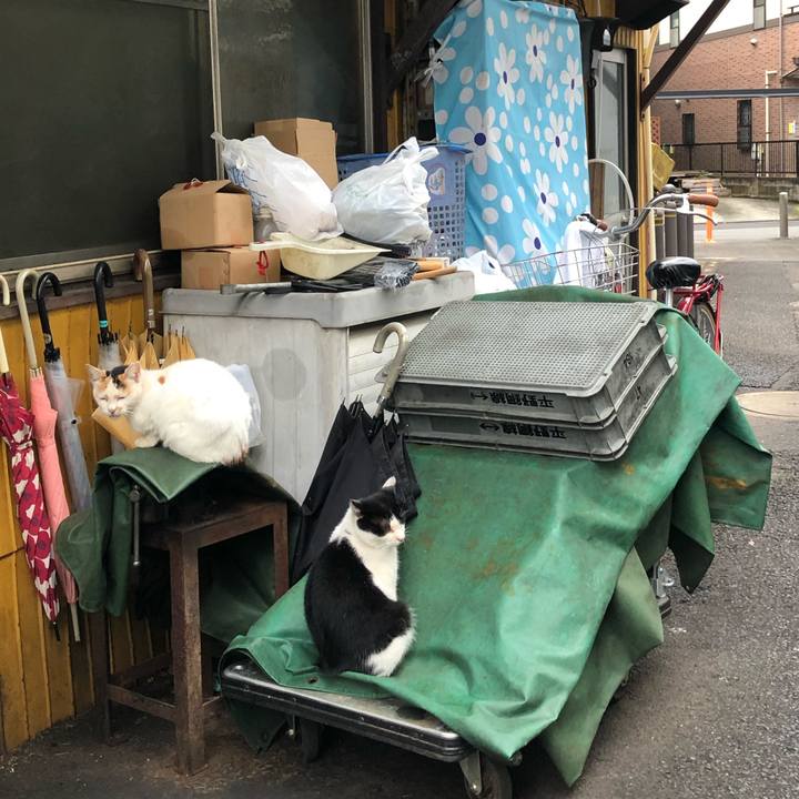 555fd06b 04ee 4df3 a25b 639c763d0b7d 1603574236017