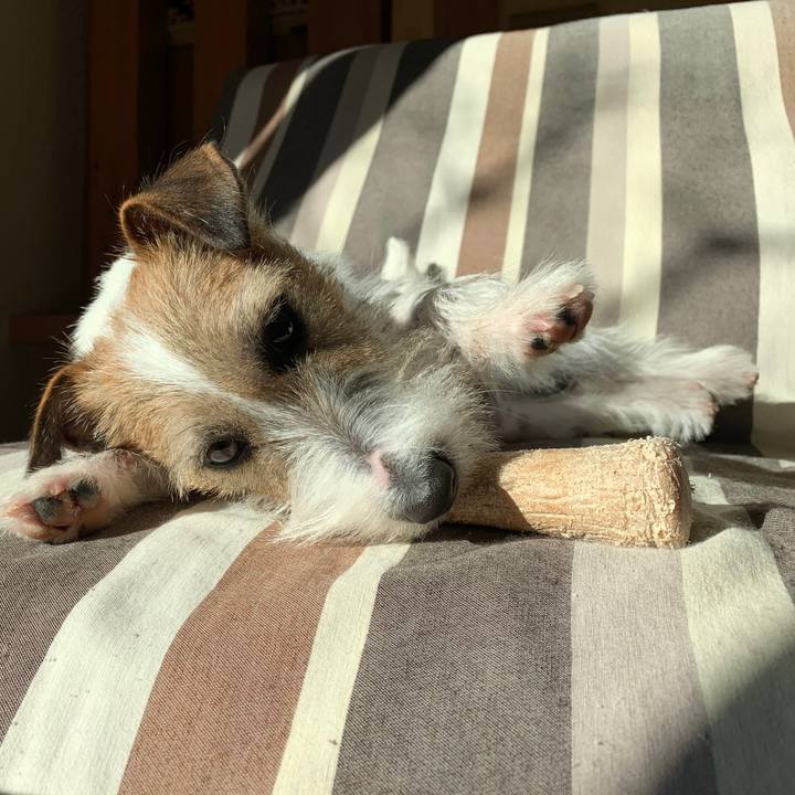 555fdd07 10d8 47a2 8e32 90776ffb304b 1579478625119