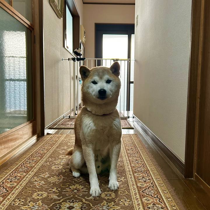 5560368b 3e97 4824 9fca 9f5dcdb2c48f 1772276748887