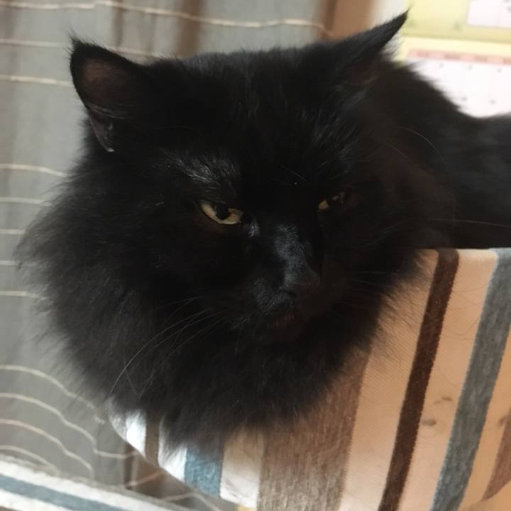 556076ea f85a 4df6 b214 8766b3a8e27d 1574851157287