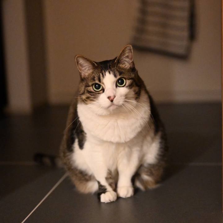 5560f54d 0bb7 4641 b156 03f1ed6be9ce 1738498462965