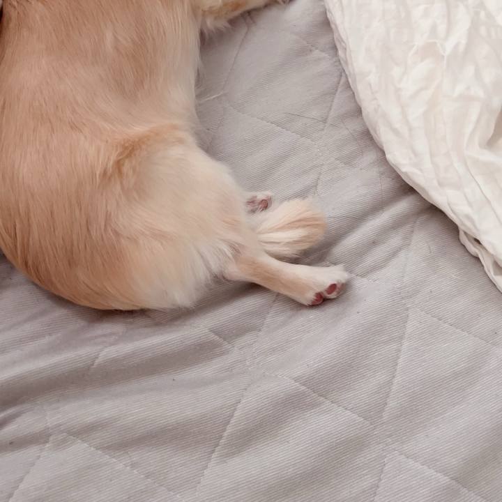 55610a0e 3981 4903 8882 1e132134e09b 1716524655908