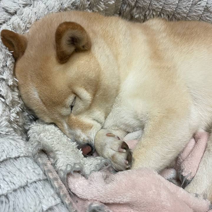 55611806 fe1e 4d03 b599 d8b1dbdf66a4 1734697710993