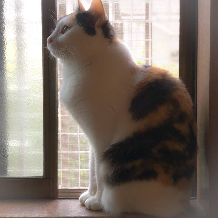 55614e31 7e63 4aea 853b 88c3400e7486 1559094855672