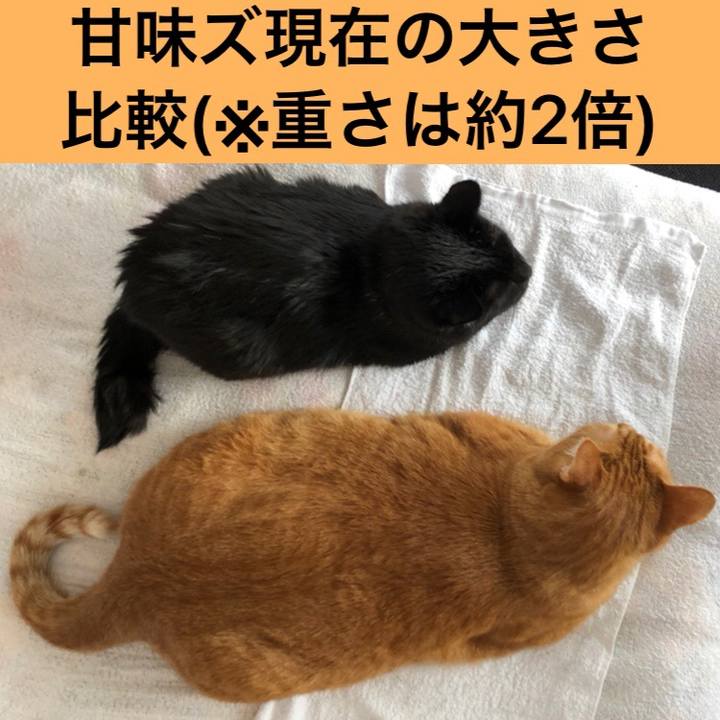 556171fe 627c 46da b978 ec06df7811c0 1614471923270