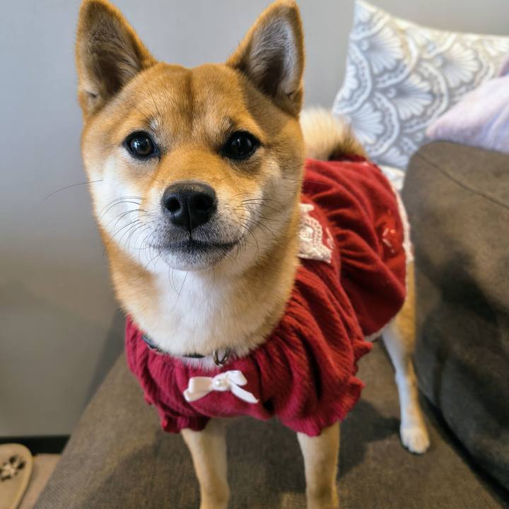 5561806a 1f05 456e bc42 7e40ab85e92e 1766539299949