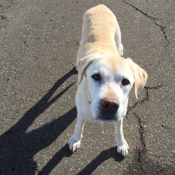 55618137 59c6 4adc 915d 19950f08c1e1 1517721684579