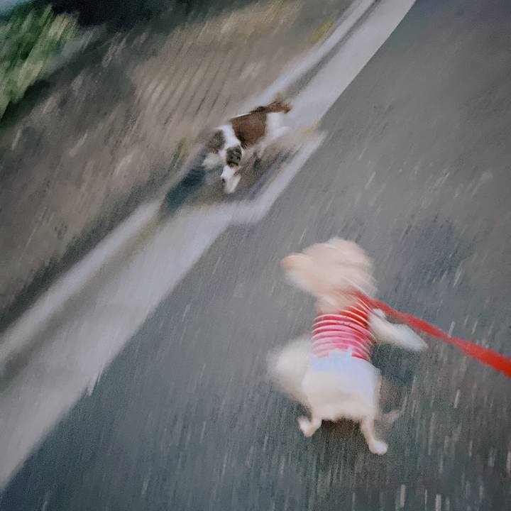 55618829 1428 438d b622 4dddba3dad48 1659963714454