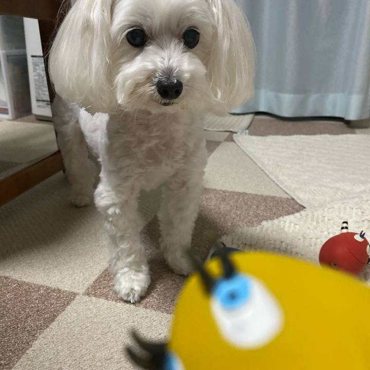 5561901e 3424 49ed bdc7 a2ceaa392a9b 1601188499009