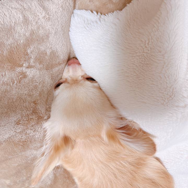 5561b37c e39d 41eb 9f4d c30b6d69b605 1656415459915