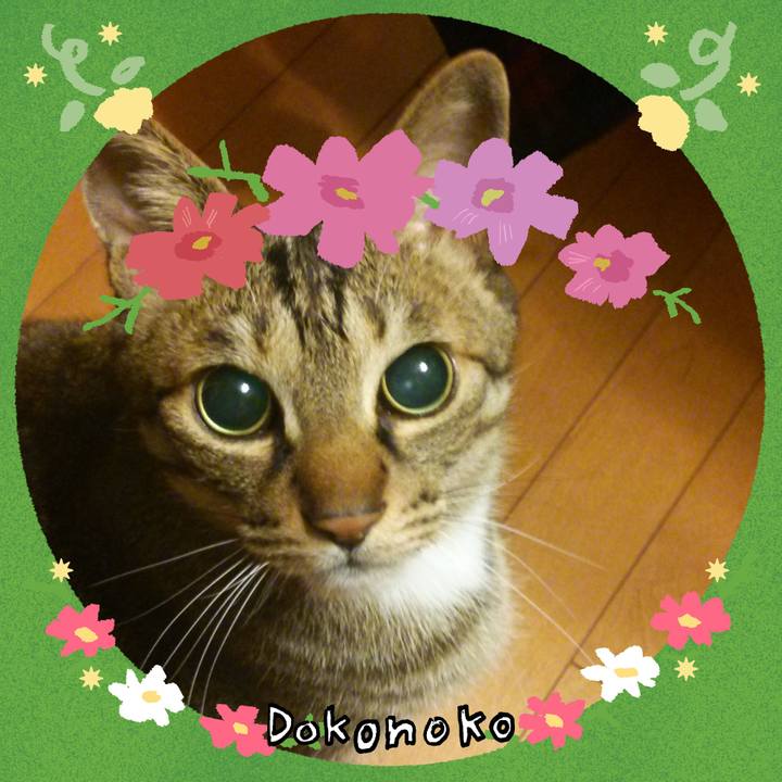 5561c45a 1007 4c7e 82cc d63672b46b67 1726961734622